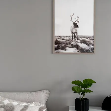 Nordic Ii Near Scv Rovaniemi